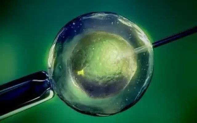 三代试管供卵生男孩